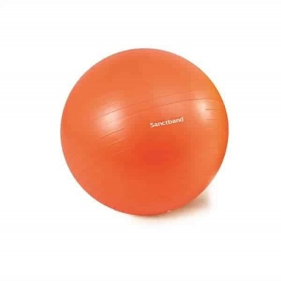 Мяч Sanctband Anti Burst Gym Ball 55 cm